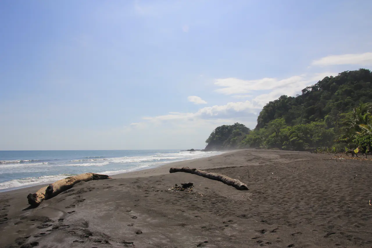 Black sand, forested headland and Pacific water at Playa Hermosa, Garabito, Costa Rica.