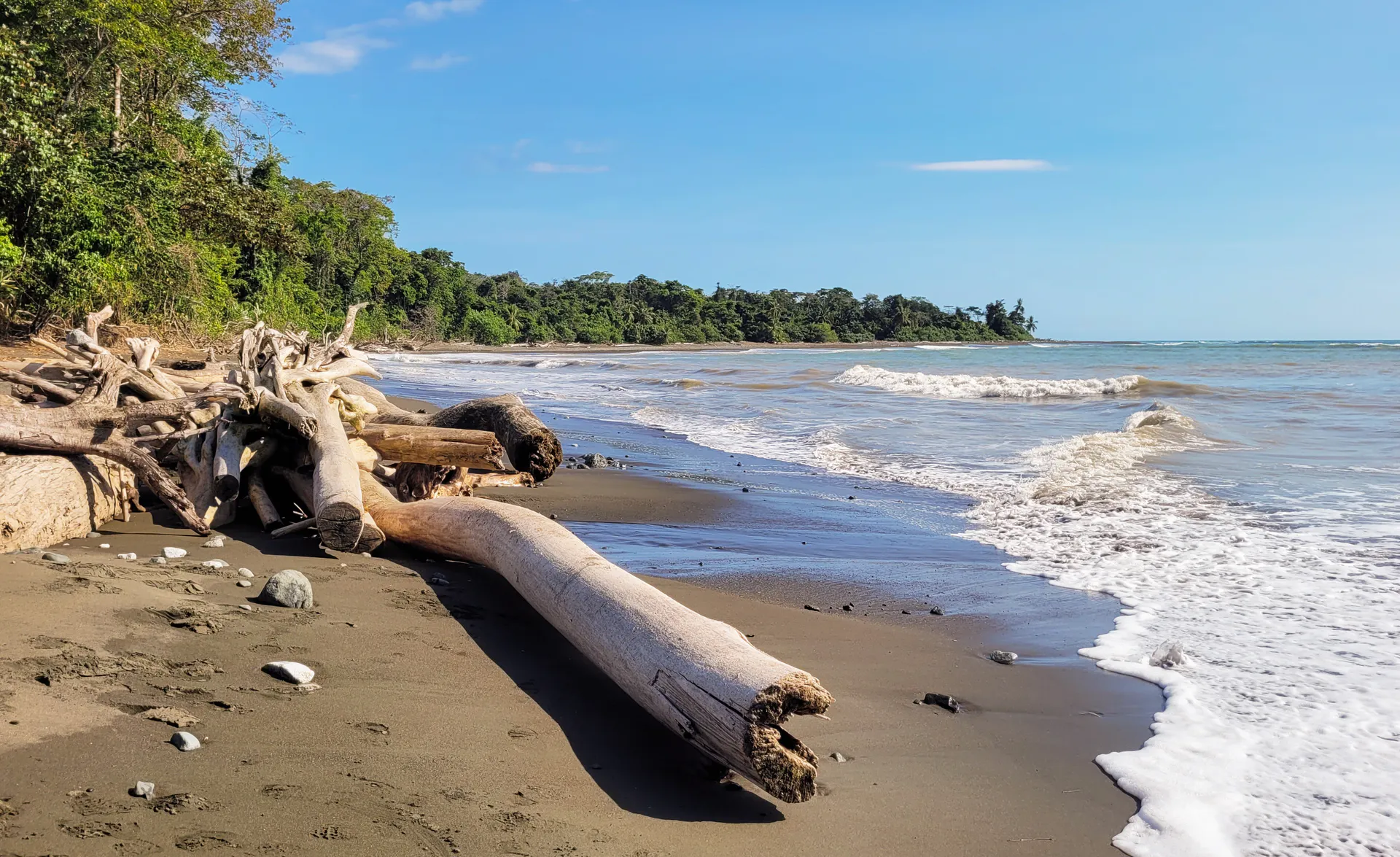 Forest meets the Pacific shoreline at Corcovado National Park, Costa Rica.