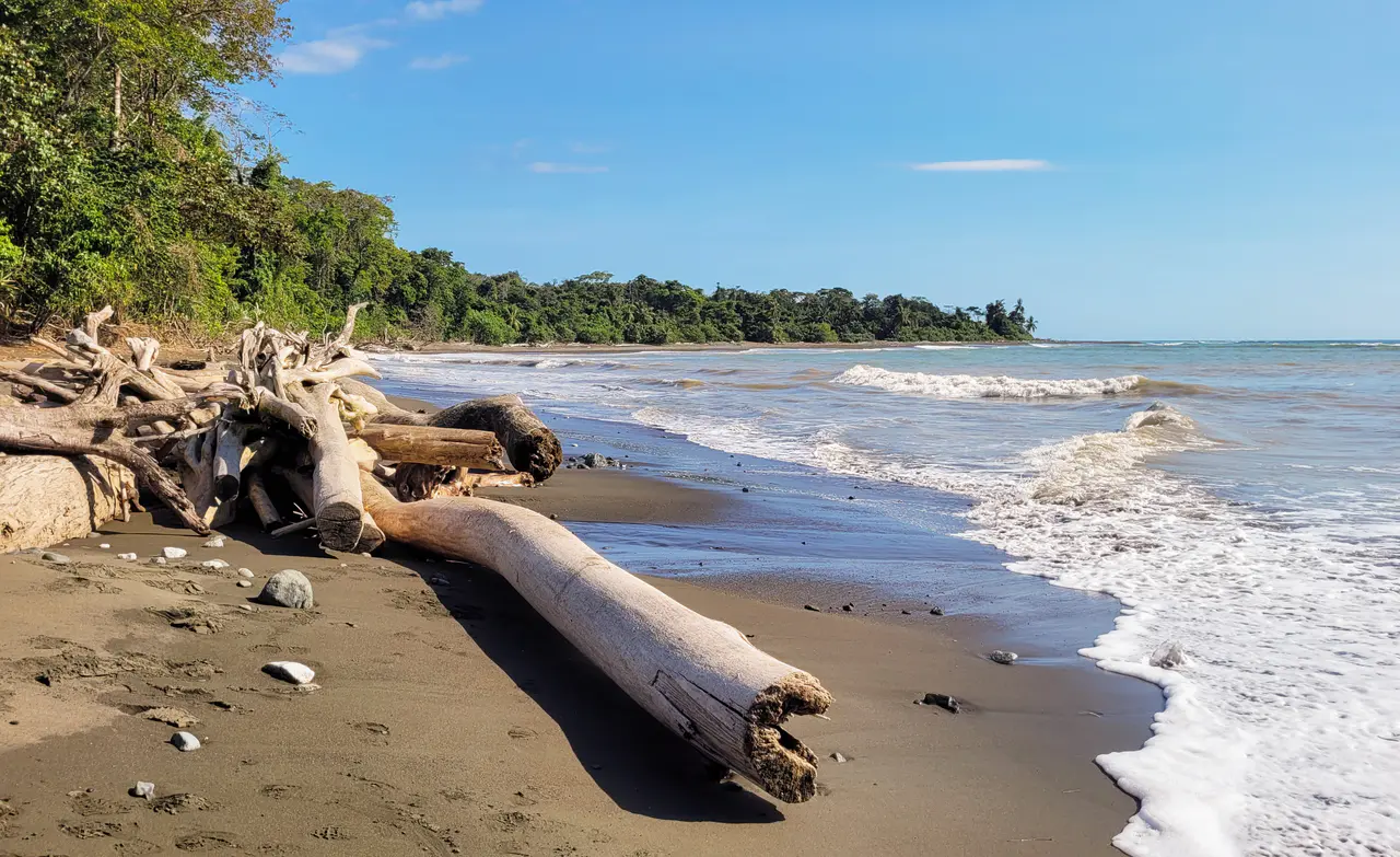 Forest meets the Pacific shoreline at Corcovado National Park, Costa Rica.