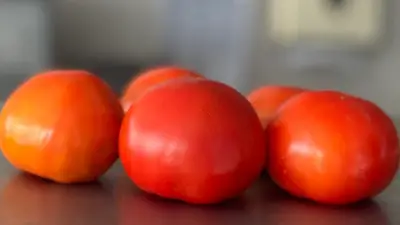 Tomate