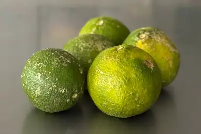 Mandarina ácida 