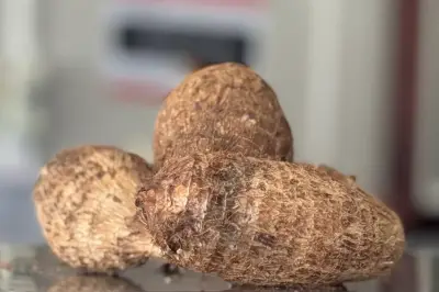 Ñampí