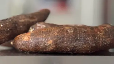 Yuca