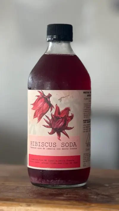 Bebida Natural Jamaica 