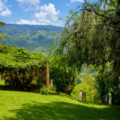 Refuge montagnard complet : Nature luxuriante et charme champêtre à El Guarco 5