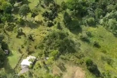For Sale: Guapiles, Limón: Vast 6.2 Hectare Farm 5