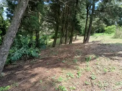 Prime Lot in Santa Elena, Monte Verde - Build Your Dream! 1