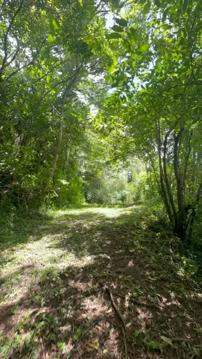 Terreno en Venta en Tarbaca un Entorno Natural y Tranquilo 5