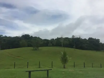 Amplio terreno agrícola y ganadero de 83 hectáreas en Sarapiquí, Heredia 1