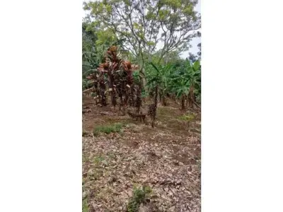 Lot for Sale in Santa Bárbara de Heredia 5
