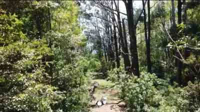 Una joya escondida en el corazón de la naturaleza | Terreno en San Rafael de Heredia 3