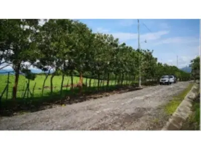 Lote plano en Turrucares 4