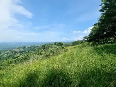 For sale: Developable land in Desmonte 2