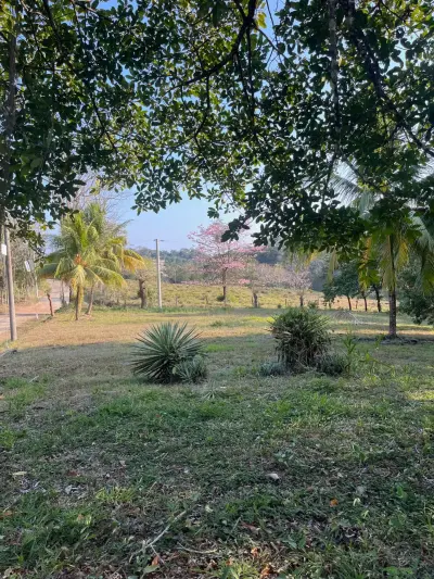 11.000 m² de hermoso terreno con vista al mar – Uso residencial y comercial en Santiago 4