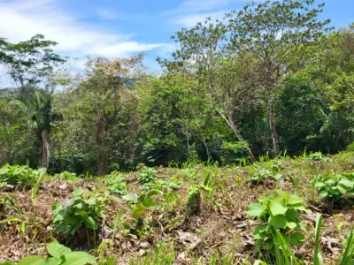 Ocean View Property in Mal Pais 4