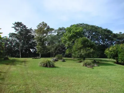 Home construction site property in Cuidad Colón - Lot for sale 4