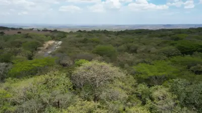 6.5 Hectare Lot with Private Access and Panoramic Views in Guanacaste 5
