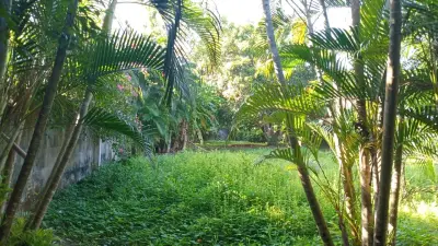 ¡Venta! ¡Ubicación de ensueño en Jacó! Lote de 931 m² esperándote. 2