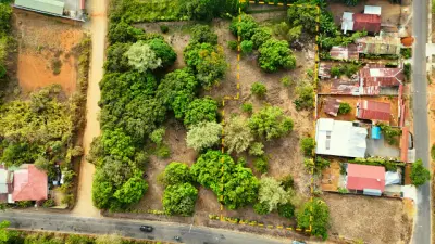 Fruit Tree Property In Perez Zeledon, Costa Rica
