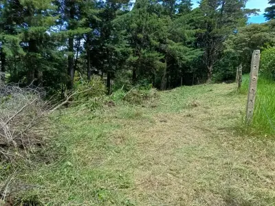 Prime Lot in Santa Elena, Monte Verde - Build Your Dream! 5