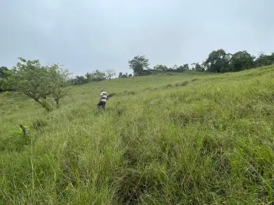 For Sale: Farm for development in Puriscal 5