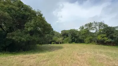 Terreno de uso mixto de 6,179 m² en Delicias, a minutos de Montezuma y Santa Teresa 2