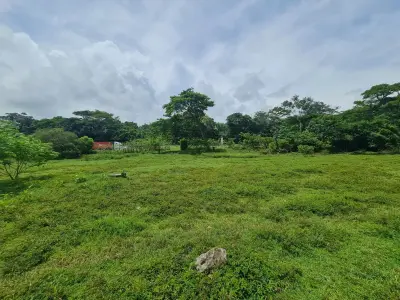 Farm for sale in Bejuco 5