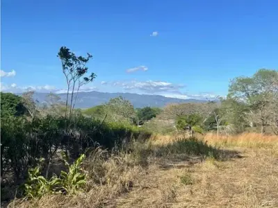 For Sale: Beautiful flat lot in La Ceiba of Orotina 5