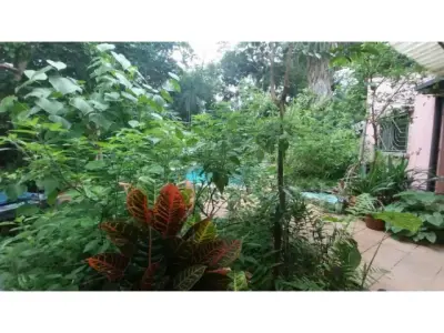 Hermosa Casa Rodeada De Naturaleza. 5