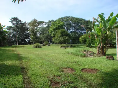 Home construction site property in Cuidad Colón - Lot for sale 5