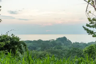 Family Estate in Mal País | Walk to the Beach, Ocean Views & Tropical Gardens  5