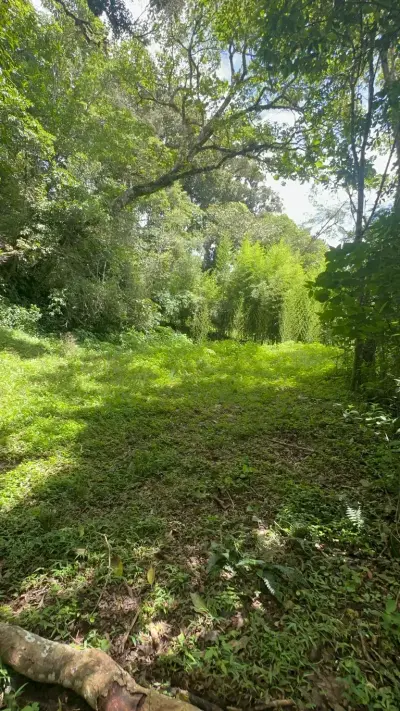 Terreno en Venta en Tarbaca un Entorno Natural y Tranquilo 4