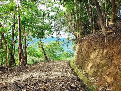 Lote con vista al mar en la cima de la montaña en una comunidad privada y cerrada con vista a Tambor 2