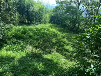 Terreno en Venta en Tarbaca un Entorno Natural y Tranquilo 1