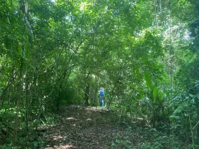 Exclusive Land with River and Forest in Garabito: Your Private Sanctuary in Costa Rica 4