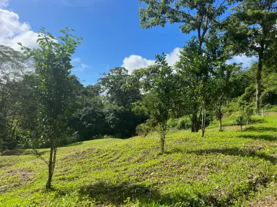 Spectacular Ecological Mountain Farm in Bijagual 2