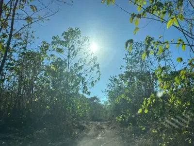 Expansive 4.2 Hectare Farm & Land in San Martín, Nicoya, Guanacaste – A Costa Rican Dream 3