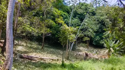 Plot of land in Playa Jaco ready to build 5