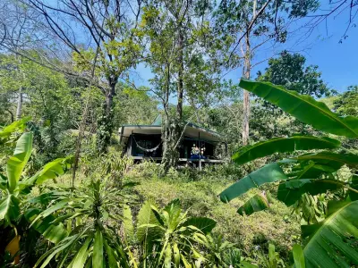 3 Maisons à Santa Teresa, Costa Rica | 8 000 m² | Près de Playa Carmen et Revenu Locatif 2