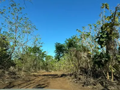 Expansive 7.3 Hectare Farm Land in Nicoya, Guanacaste – Prime Costa Rica Opportunity 3