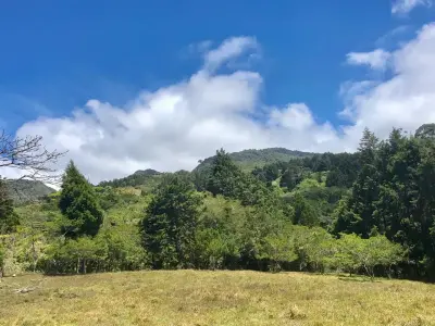 Venta / Hermoso Terreno (Con Permiso para Uso Comercial) San Isidro, Heredia 2