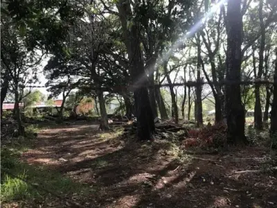 Lote De Terreno, Terreno San Ana Salitral St 4