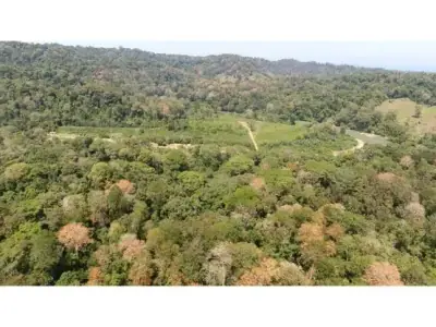 102 hectares of Land in Nanabri, Limón 2