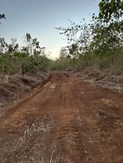 Expansive 7.3 Hectare Farm Land in Nicoya, Guanacaste – Prime Costa Rica Opportunity 1