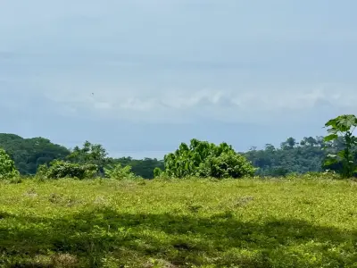 Propriété avec vue sur l'océan et la montagne près de Santa Teresa, avec une plateforme de construction impressionnante entourée par la jungle 2
