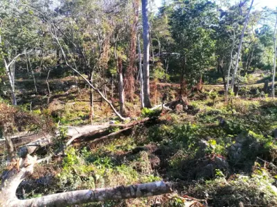 Serene Mountain Lot in Santa Teresa 5