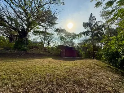 Jungle Lot 1,494 m² in Delicias — Container Storage & Home Potential | 15 Min to Playa Carmen