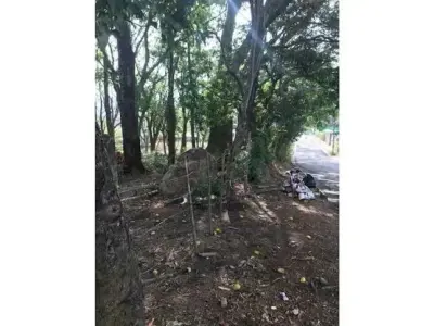 Lote De Terreno, Terreno San Ana Salitral St 5