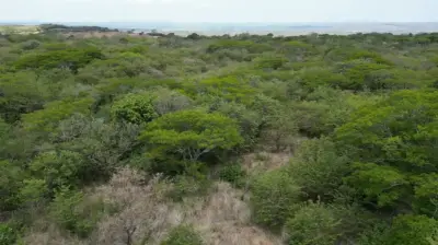 6.5 Hectare Lot with Private Access and Panoramic Views in Guanacaste 3