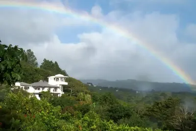 Costa Rica’s Premier Eco-Luxury Organic Coffee Estate & Boutique Hotel 2